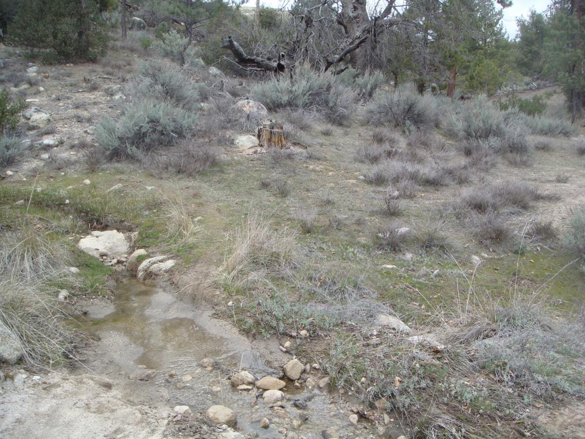 A small, shallow stream flows through a grassy area surrounded by sparse shrubs and rocky terrain. In the background, there are scattered trees and a large fallen tree trunk, with a mostly cloudy sky overhead. The landscape appears natural and undeveloped, typical of a woodland or semi-arid environment. Exfoliator mountain bike trail.