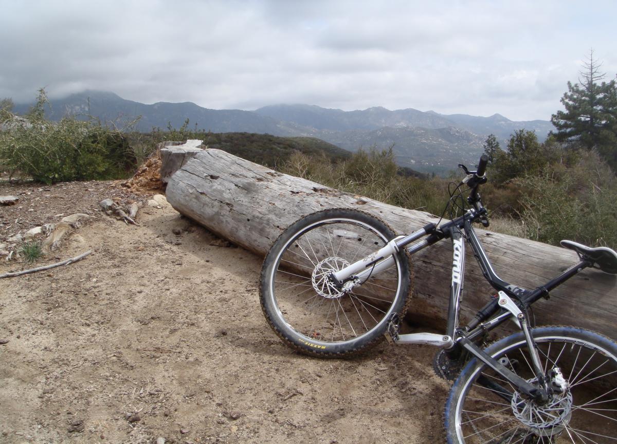 A mountain bike resting against a large fallen log in a scenic outdoor landscape, with rolling hills and mountains under a cloudy sky in the background. Exfoliator mountain bike trail.