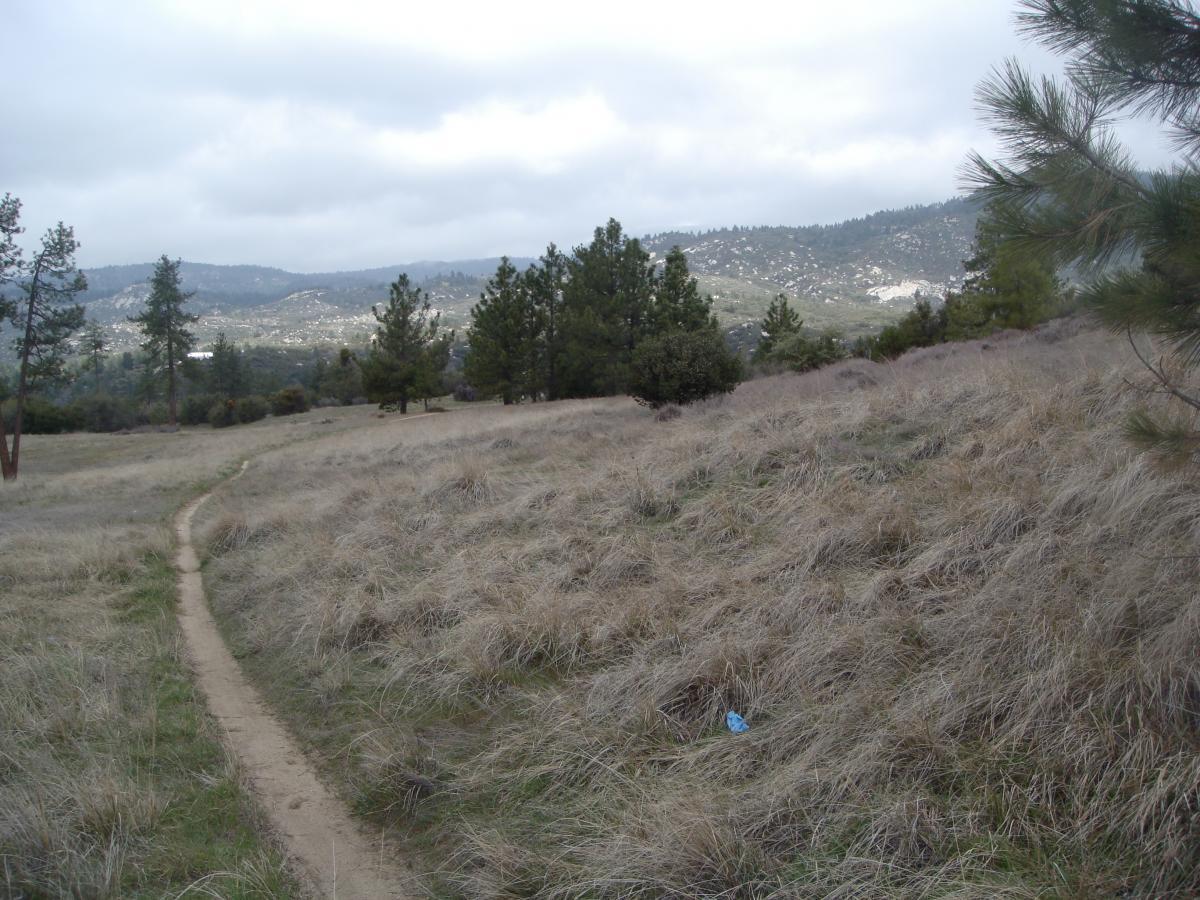 A winding dirt path through a grassy landscape with sparse trees, set against a backdrop of rolling hills under cloudy skies. Exfoliator mountain bike trail.