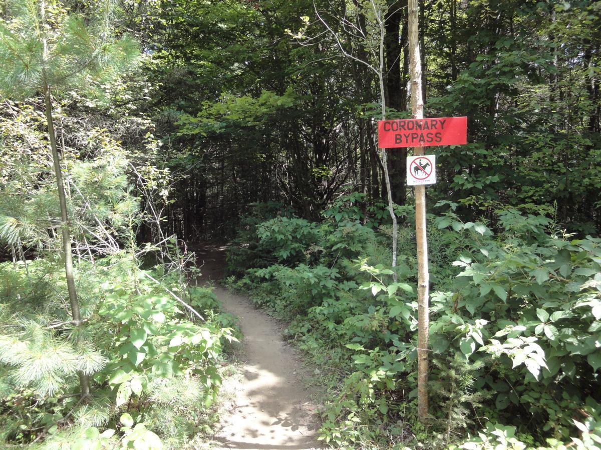 A narrow dirt trail leads into a dense, leafy forest. Two signs are visible: one red sign labeled "CORONARY BYPASS" and another sign indicating that no motorized vehicles are allowed. The path is surrounded by various green plants and trees, suggesting a natural and serene environment. Kingdom Trails mountain bike trail.