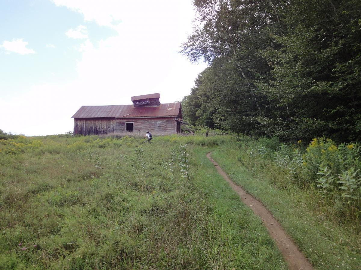A weathered wooden barn with a rusty metal roof sits in a field surrounded by tall grass and wildflowers, with a dirt path leading toward it. A person is walking along the path, heading towards the barn, while a lush tree line borders the background under a partly cloudy sky. Kingdom Trails mountain bike trail.