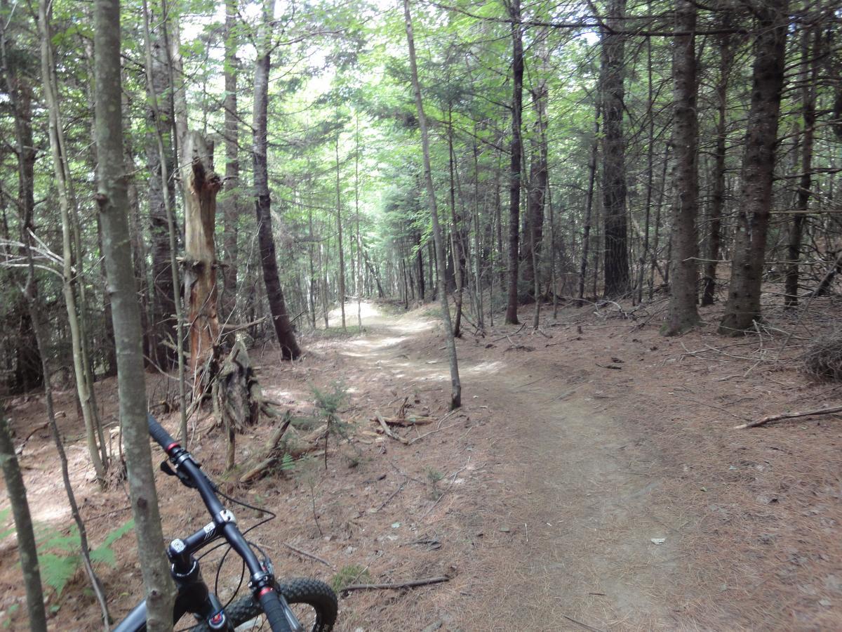  Kingdom Trails mountain bike trail.