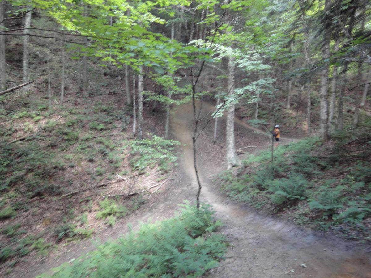 A winding dirt trail through a dense forest, surrounded by green ferns and trees. A person in an orange jacket stands near the trail, which curves to the right, leading deeper into the woods. Sunlight filters through the leaves, creating a serene outdoor atmosphere. Kingdom Trails mountain bike trail.