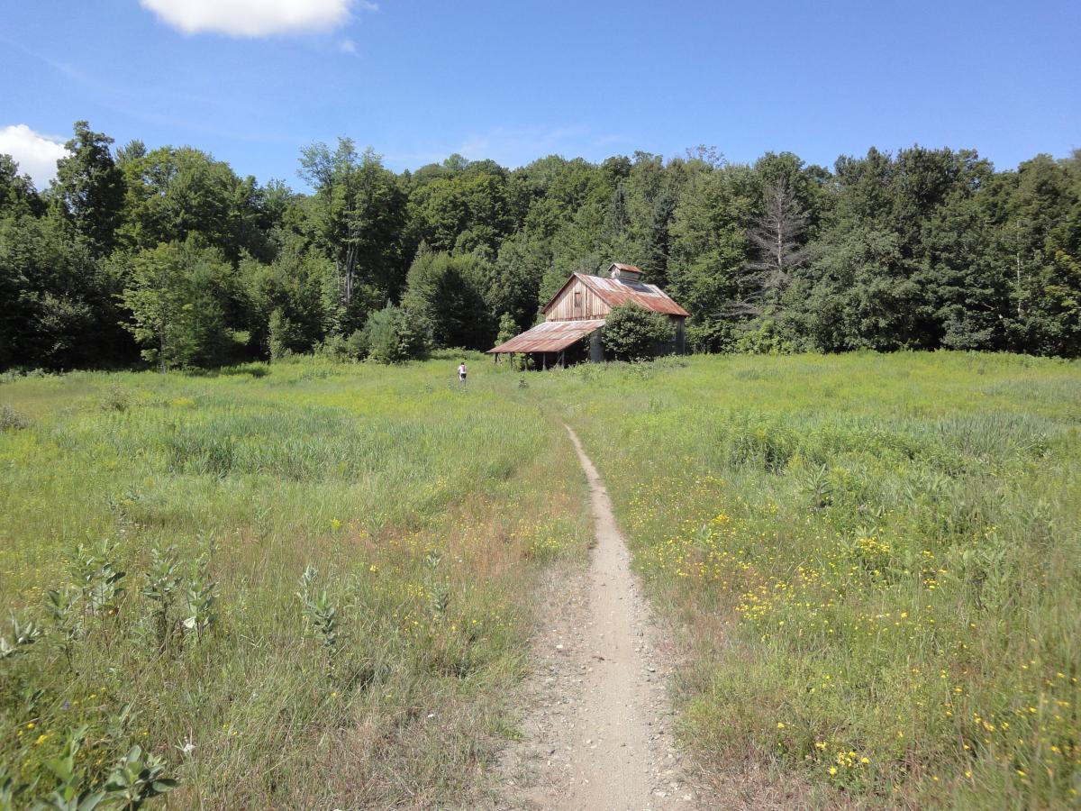 A dirt path leading through a sunny, green field, with a weathered barn in the background surrounded by trees. A person is walking along the path toward the barn. Kingdom Trails mountain bike trail.