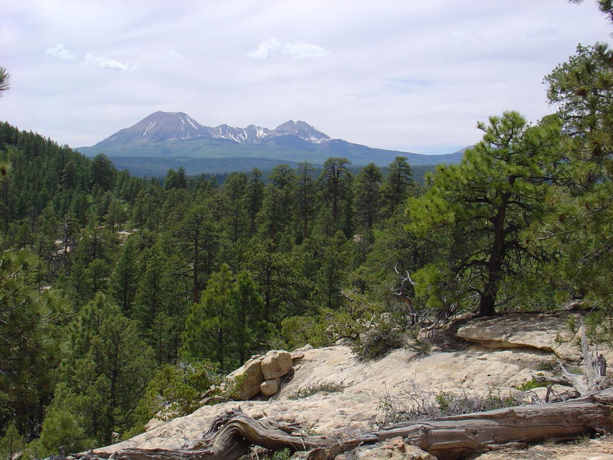 A scenic view of a mountainous landscape featuring snow-capped peaks in the background, surrounded by lush green pine trees and rocky outcrops in the foreground. The sky is partly cloudy, adding a serene atmosphere to the natural setting. Paradox Trail mountain bike trail.