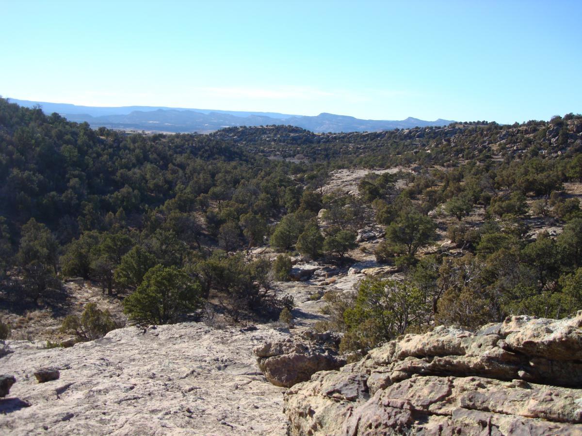 A scenic view of a natural landscape featuring rocky terrains and sparse vegetation, with hills and mountains in the background under a clear blue sky. The foreground shows rugged rock formations and scattered trees, transitioning into a valley with more greenery. Paradox Trail mountain bike trail.