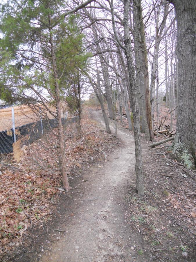 A narrow dirt path lined with bare and evergreen trees, leading through a wooded area. Brown leaves cover the ground, and a fence is visible in the background on the left side of the path. The scene has a calm, natural atmosphere under an overcast sky. Laurel Hill Park mountain bike trail.