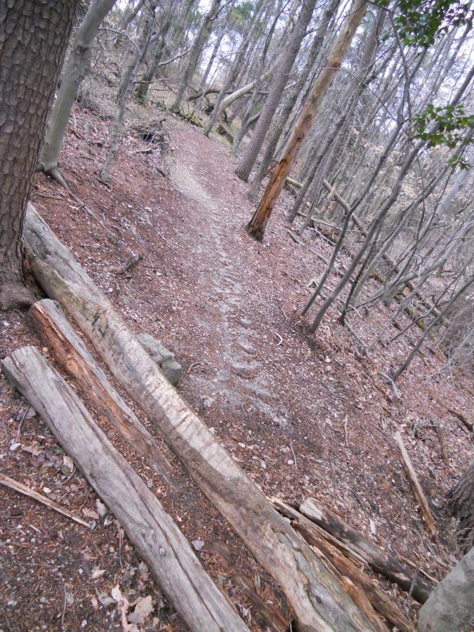 A winding trail through a wooded area, lined with trees and covered in fallen leaves and branches. The path is partially obscured by logs on the ground, creating a natural, rugged atmosphere. Laurel Hill Park mountain bike trail.