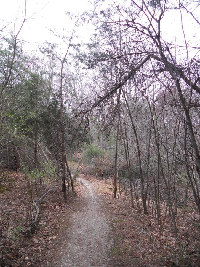 A winding dirt path through a forested area, surrounded by bare trees and shrubs, with scattered leaves on the ground. The atmosphere is overcast, suggesting a cool, tranquil environment. Laurel Hill Park mountain bike trail.