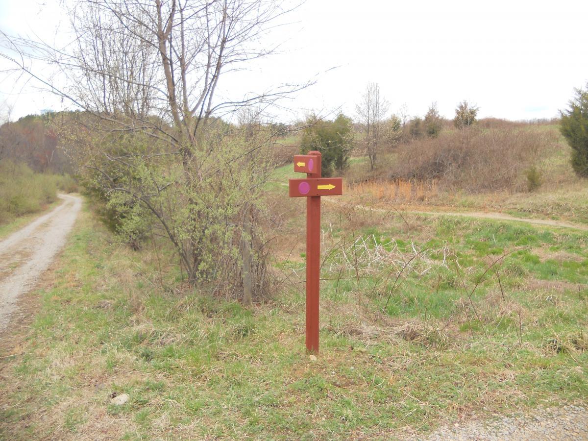 Signpost at a trail junction with two directional arrows, one pointing left and one pointing right, set in a natural landscape with gravel paths and sparse vegetation. Laurel Hill Park mountain bike trail.