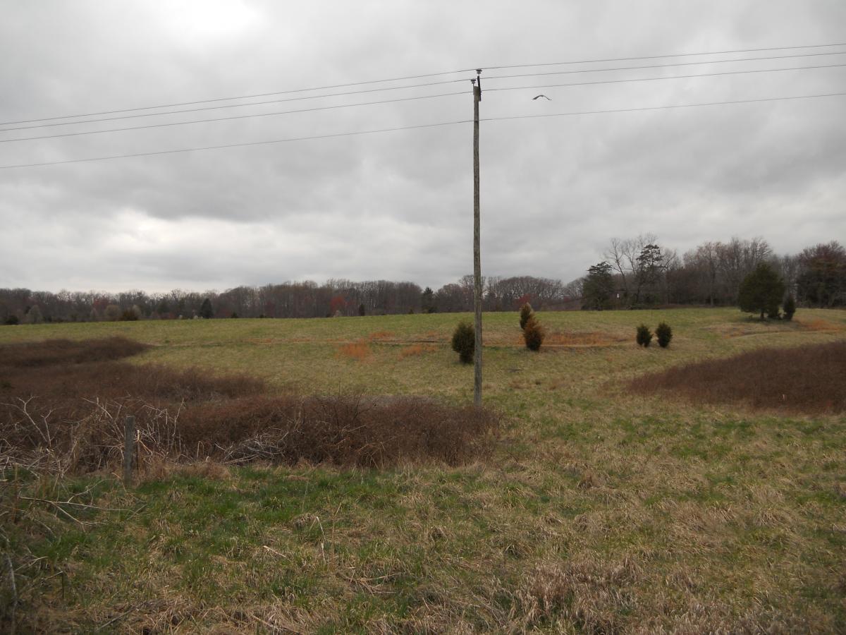 An empty, grassy field under a cloudy sky, with a power line running diagonally across the image. Sparse bushes and trees dot the landscape in the background, adding hints of autumn color. Laurel Hill Park mountain bike trail.