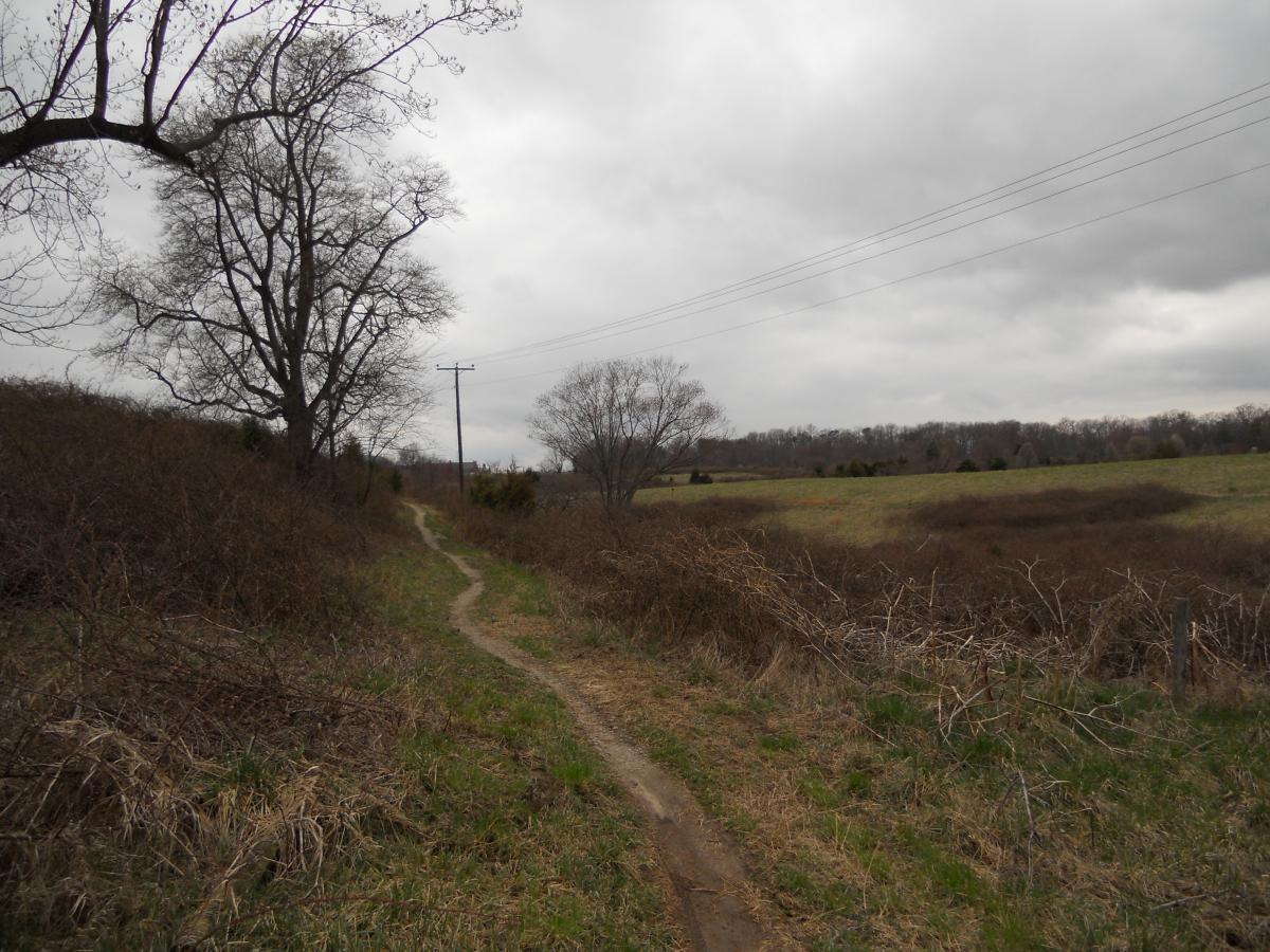 A winding dirt path leads through a sparse landscape with bare trees and overcast skies. Power lines run alongside the path, and an open field can be seen in the distance, bordered by brush and small shrubs. The atmosphere is quiet and tranquil, suggesting a peaceful outdoor setting. Laurel Hill Park mountain bike trail.
