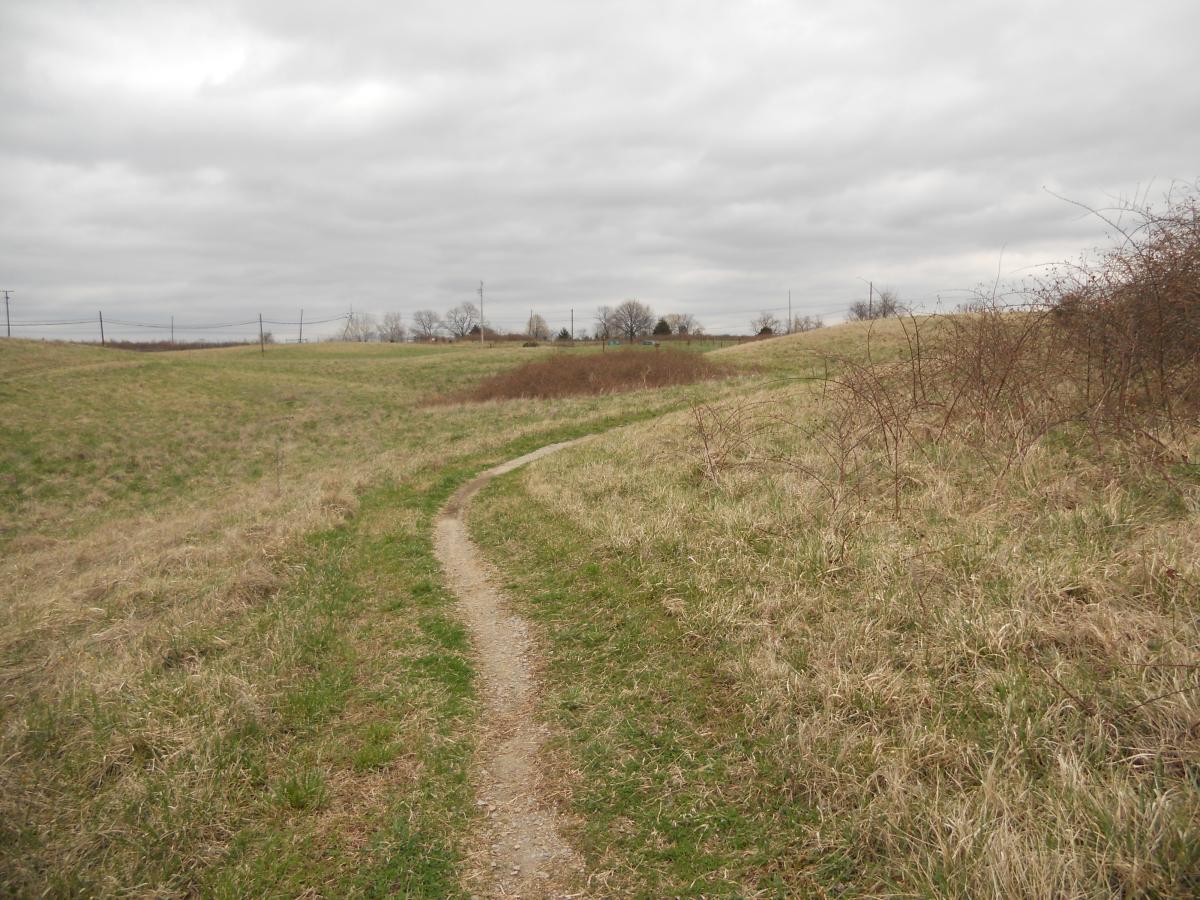 A winding dirt path cuts through a grassy landscape under a cloudy sky. The path leads through rolling hills with sparse vegetation and some patches of brown grass. In the background, power lines and sparse trees are visible against the overcast sky, creating a serene, natural scene. Laurel Hill Park mountain bike trail.