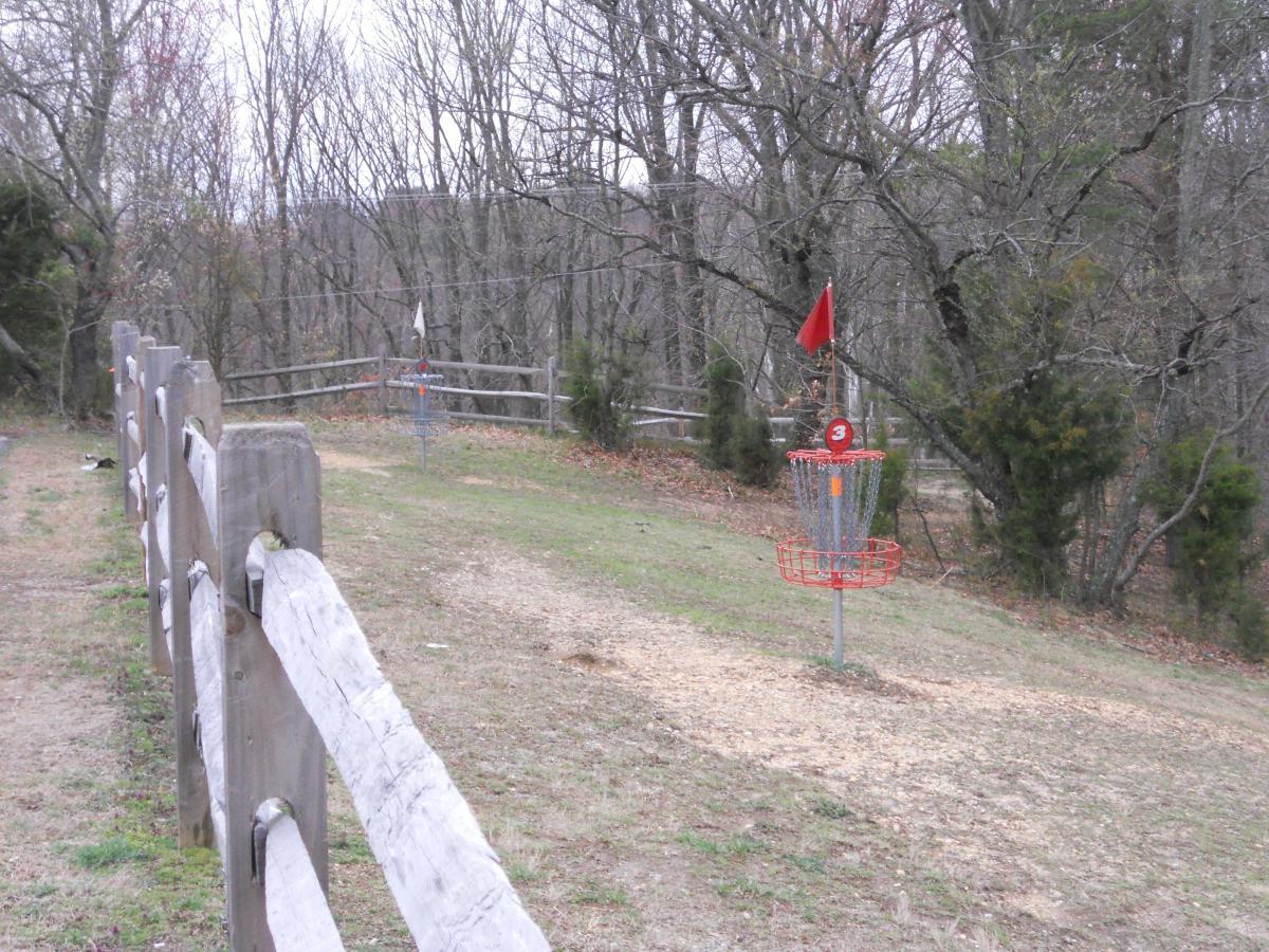 A grassy disc golf course scene featuring a wooden fence along the left side. In the distance, a disc golf basket marked with a red flag is visible, surrounded by trees with bare branches. The sky is overcast, suggesting a cloudy day. Laurel Hill Park mountain bike trail.