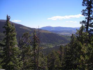 A panoramic view of rolling mountains and lush greenery under a clear blue sky, framed by tall, green coniferous trees in the foreground. West Jefferson Trail mountain bike trail.