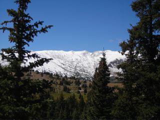 A snowy mountain range under a clear blue sky, framed by evergreen trees in the foreground. West Jefferson Trail mountain bike trail.