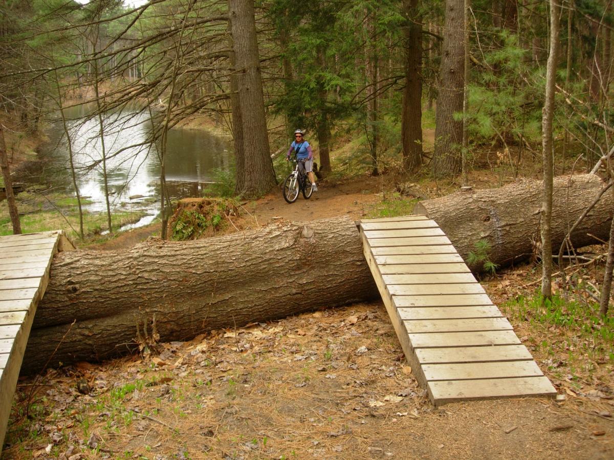 A person stands next to a bicycle near a forested area alongside a body of water. A large fallen tree lies on the ground, with wooden planks forming a makeshift bridge over it. The surroundings feature tall trees and the peaceful reflection of greenery in the water. Saxon Hill mountain bike trail.
