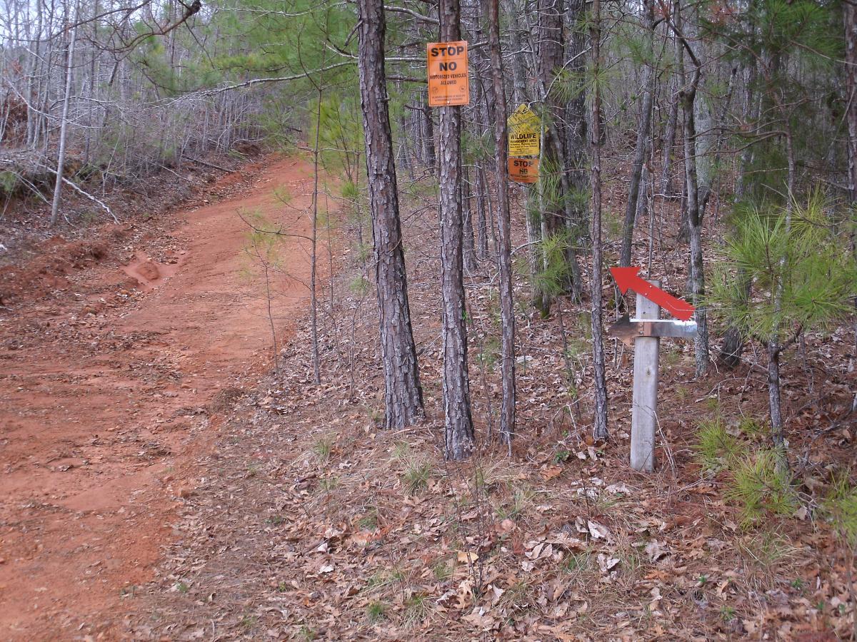 A dirt path winding through a wooded area, with several warning signs on trees indicating restrictions and wildlife presence. In the foreground, a wooden post with an arrow pointing left directs the way along the path. Fallen leaves cover the ground. Iron Legs Trail mountain bike trail.