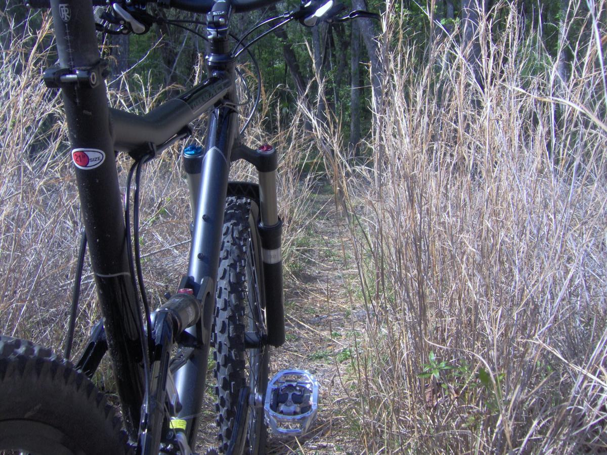 Close-up view of a mountain bike in a natural setting, with tall, dry grass and a narrow dirt path visible in the background. The bike is partially obscured by the grassy surroundings, showcasing its frame and wheel. Split Rock Trail mountain bike trail.