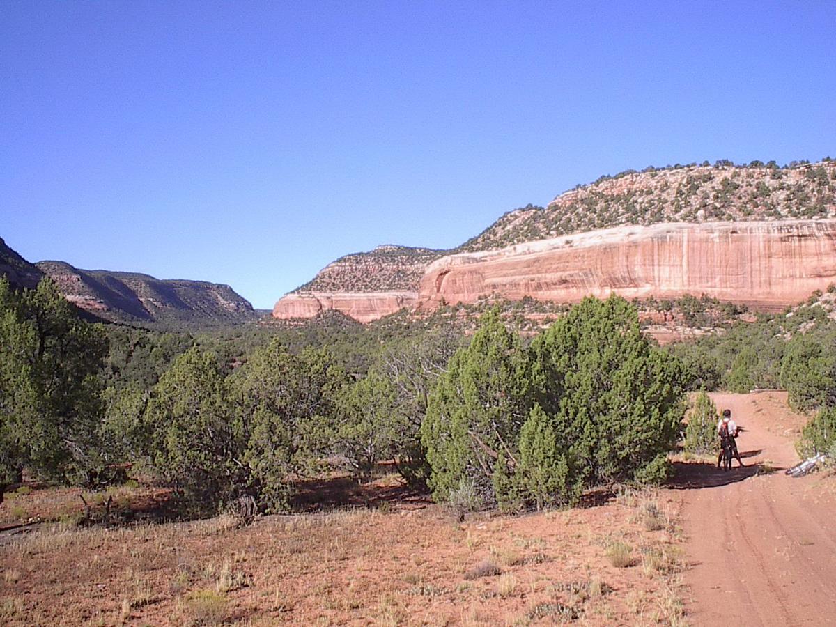 A scenic landscape featuring red rock formations and green shrubbery under a clear blue sky. A dirt path winds through the foreground, with a person on horseback visible in the distance, surrounded by the natural beauty of the area. Paradox Trail mountain bike trail.