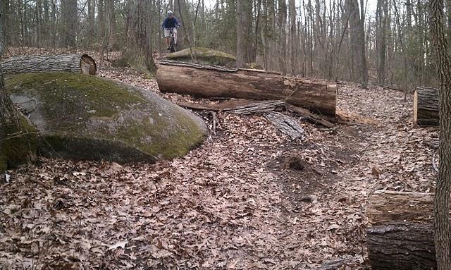 A mountain biker navigating a trail in a wooded area, with large boulders and fallen logs on the ground. The scene features a carpet of dry leaves and trees in the background, indicating a natural environment. Powhite Park mountain bike trail.