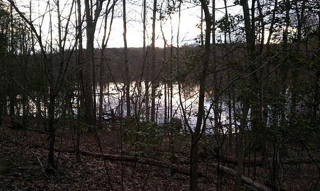 A serene view of a forest with tall trees lining a calm body of water, reflecting the soft light of dawn or dusk. The ground is covered with fallen leaves, and the atmosphere is peaceful and quiet, suggesting a natural setting in the wilderness. Powhite Park mountain bike trail.