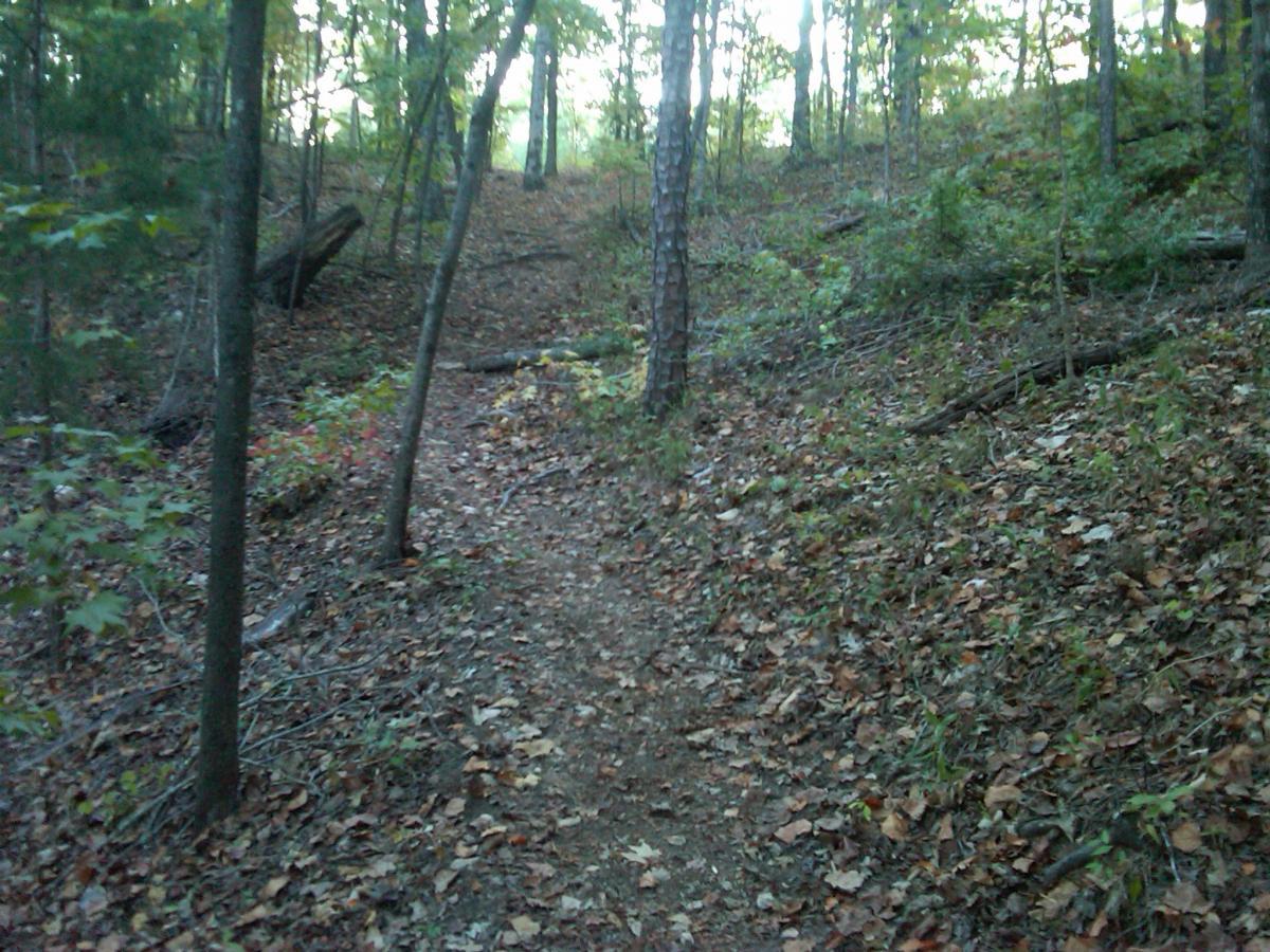 A narrow dirt path winding through a forest with trees on either side, scattered with fallen leaves and occasional underbrush. The scene is serene, capturing the peacefulness of a woodland setting. Chewacla State Park mountain bike trail.