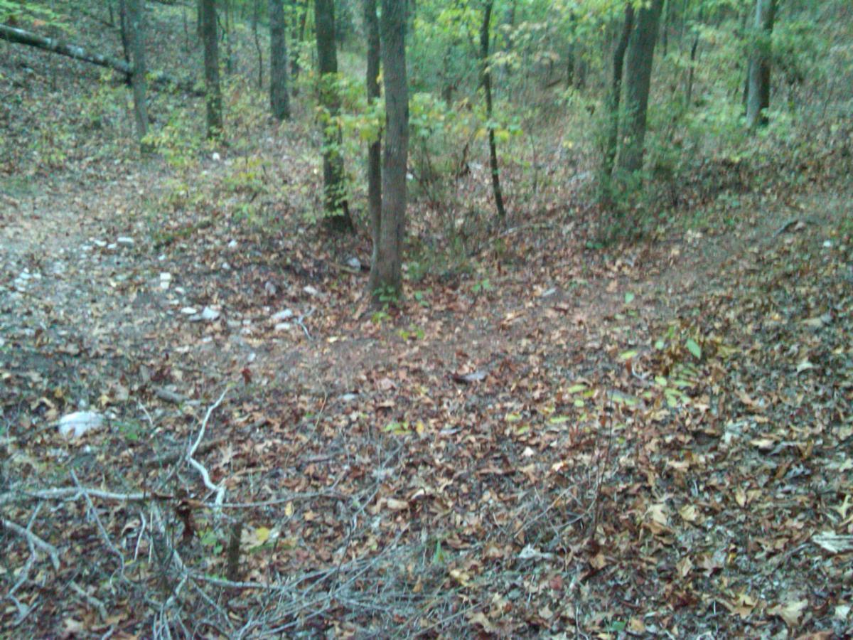 A dirt path forks in a wooded area, surrounded by trees and scattered autumn leaves. The scene captures a serene natural landscape with a mix of greenery and fallen foliage. Chewacla State Park mountain bike trail.