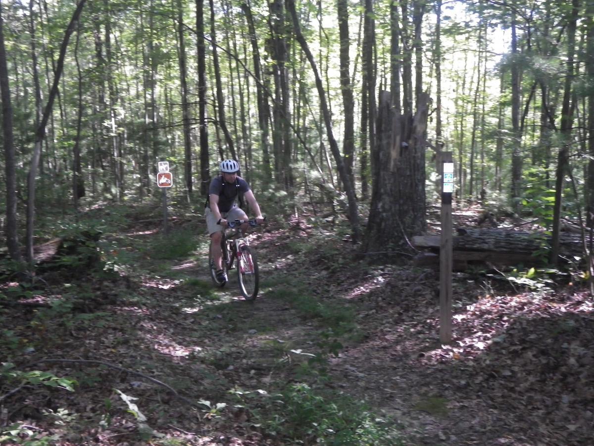 A cyclist riding a mountain bike along a dirt trail in a lush forest, surrounded by tall trees and sunlight filtering through the leaves. Trail markers and signs are visible along the path, indicating directions and bike-friendly routes. Big South Fork mountain bike trail.
