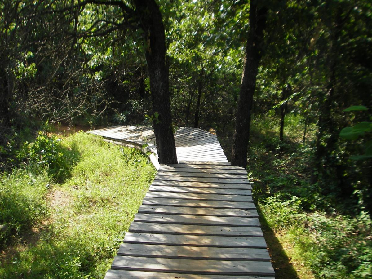 A wooden boardwalk winding through a lush green forest, surrounded by trees and tall grass. The pathway curves gently, leading through a tranquil natural setting. Lake Stanley Draper mountain bike trail.
