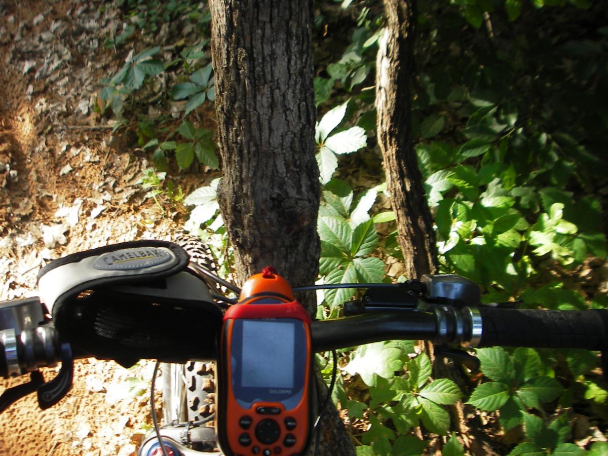 A close-up view of a mountain bike's handlebars, featuring a CamelBak holder, a GPS device in orange, and a bell, with a backdrop of a forest floor surrounded by green foliage and trees. Lake Stanley Draper mountain bike trail.