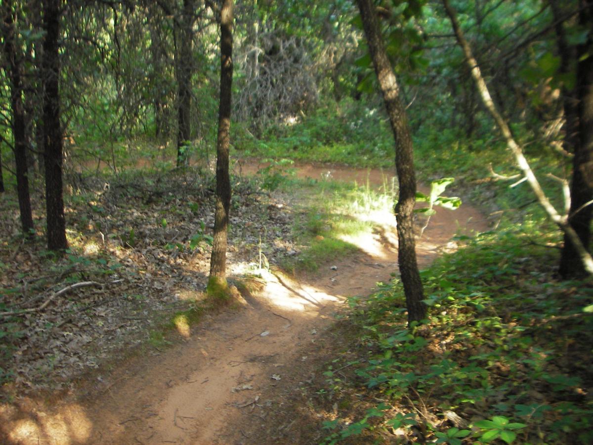 A winding dirt path through a wooded area, surrounded by tall trees and lush greenery, with sunlight filtering through the leaves. Fallen leaves and underbrush are visible along the trail, indicating a peaceful natural setting ideal for hiking or exploring. Lake Stanley Draper mountain bike trail.