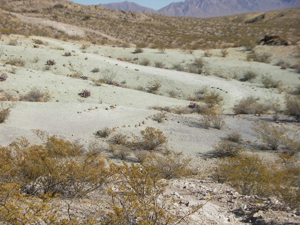 A rugged desert landscape featuring a pale, rocky terrain with patches of sparse vegetation and low shrubs. The background includes distant mountains under a clear blue sky, highlighting the arid environment. Dona Ana mountain bike trail.