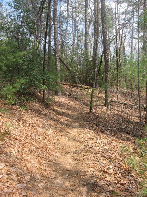 A dirt hiking trail winding through a wooded area, surrounded by tall trees with sparse foliage and fallen leaves covering the ground. The path leads through a peaceful natural setting, with a mix of greenery and bare branches visible in the background. Jake to Bull Mountain Connecter mountain bike trail.