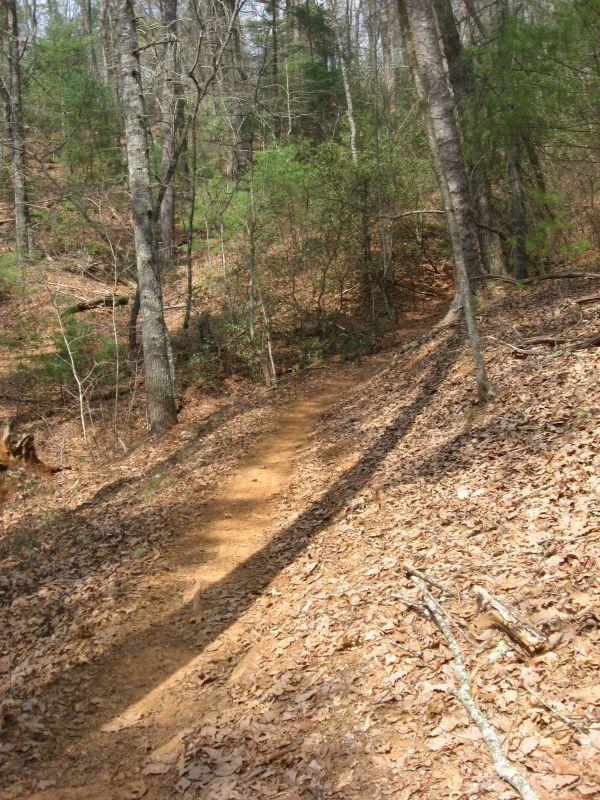 A dirt trail winding through a wooded area, surrounded by trees and scattered dry leaves on the ground. The path curves gently, leading into a serene forest setting with a mix of sunlight and shadows. Jake to Bull Mountain Connecter mountain bike trail.