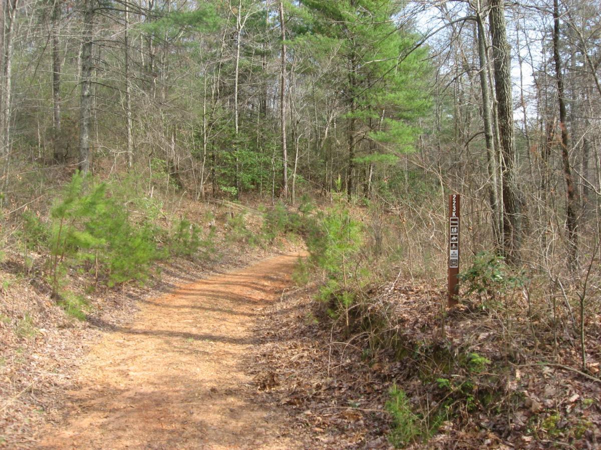 A dirt trail winding through a forested area, flanked by small green plants and trees. In the foreground, there is a wooden trail marker with information and symbols. The scene is peaceful, showcasing a mix of bare trees and greenery, indicating early spring. 28a / 223k mountain bike trail.