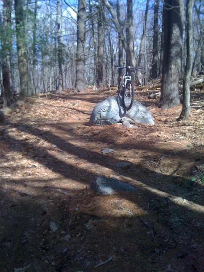 A mountain bike is leaning against a large rock on a forest trail, surrounded by trees and fallen pine needles. The scene captures a sunny day with clear blue skies peeking through the branches. Willowdale Forest mountain bike trail.