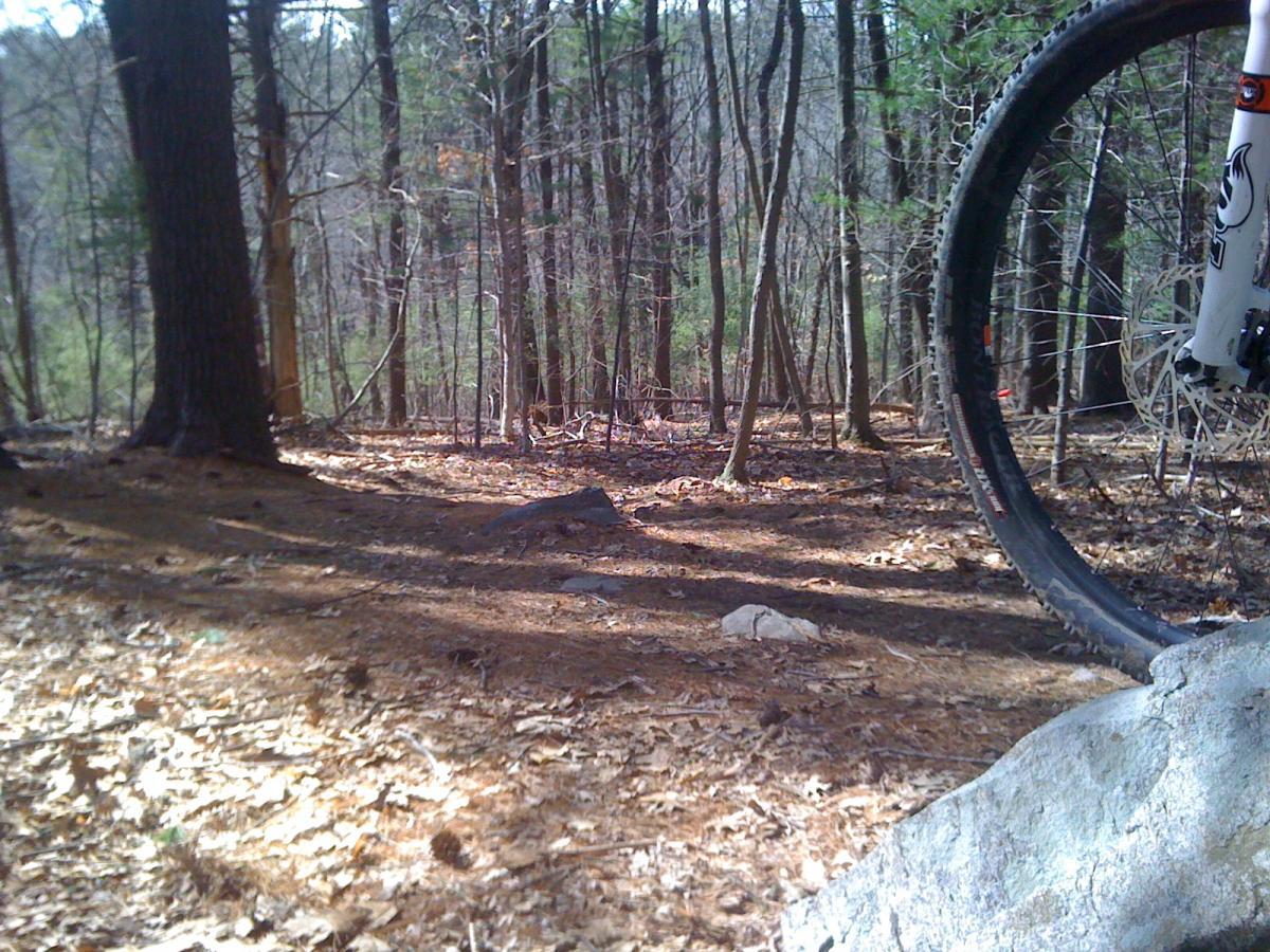 A forested area with tall trees and scattered rocks, showcasing a section of a dirt trail covered in fallen leaves and pine needles. The edge of a mountain bike wheel is visible in the foreground, indicating an outdoor biking environment. Willowdale Forest mountain bike trail.