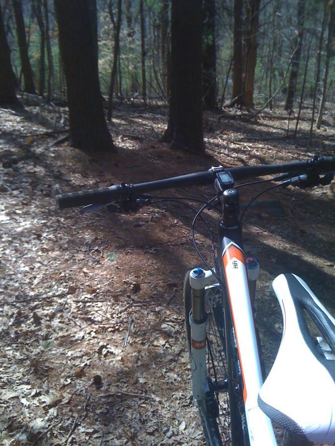 A close-up view of a mountain bike's handlebar and saddle, positioned on a dirt path surrounded by trees in a forest. Sunlight filters through the leaves, illuminating the ground covered with pine needles and small twigs. Willowdale Forest mountain bike trail.