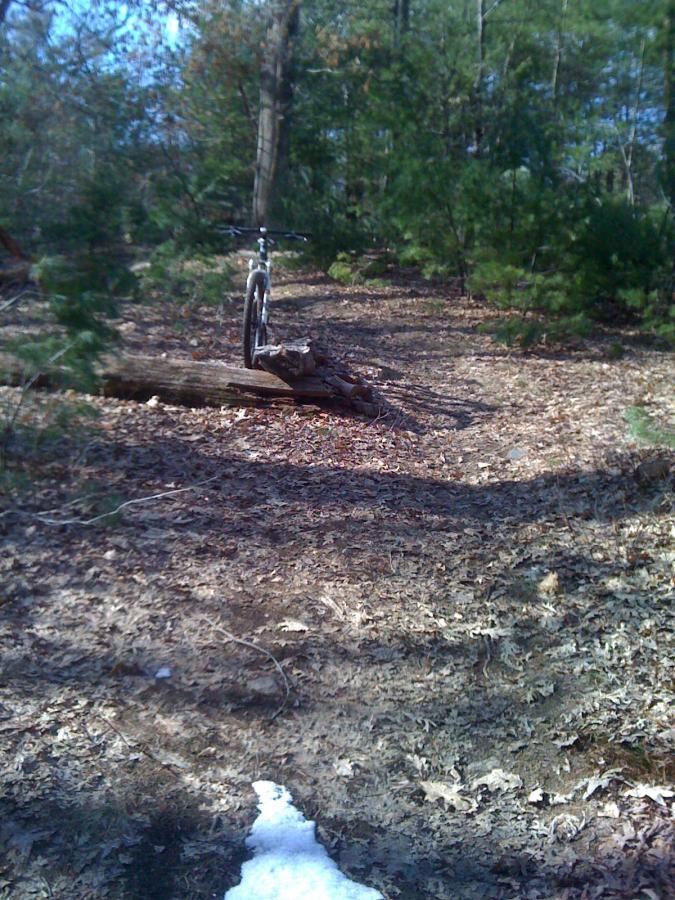 A mountain bike rests on a log in a wooded area, surrounded by leaf-covered ground and patches of trees. In the foreground, a small amount of snow is visible. The scene is filled with natural light, creating a serene outdoor atmosphere. Willowdale Forest mountain bike trail.