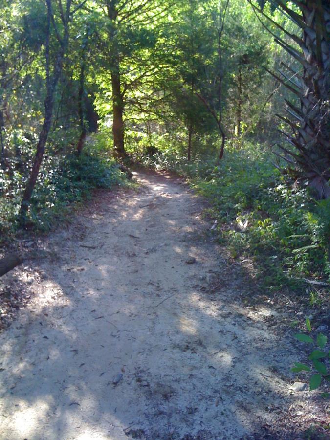 A narrow, sandy path winding through a lush, green forest, surrounded by tall trees and underbrush. Sunlight filters through the leaves, creating a dappled light effect on the ground. Santos mountain bike trail.