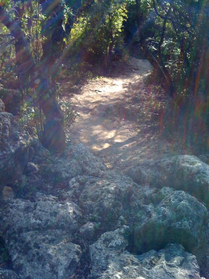 A winding dirt path leads through a lush green forest, surrounded by rocks and dappled sunlight filtering through the trees. The path gently curves into the distance, inviting exploration of the natural landscape. Santos mountain bike trail.