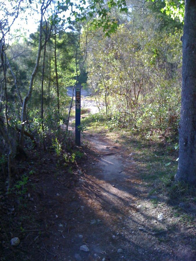 A narrow dirt path winding through greenery, flanked by trees and shrubs. A trail sign is visible on the left side, indicating directions or trail information. Sunlight filters through the leaves, creating a serene, natural atmosphere. Santos mountain bike trail.
