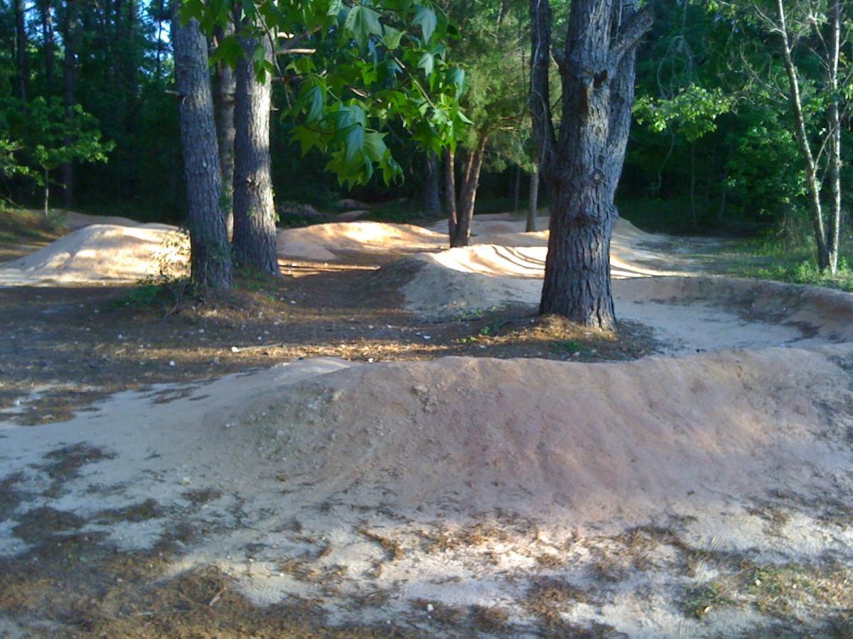 A dirt bike trail featuring several mounds and dips, surrounded by tall trees and greenery. The path is sandy and slightly worn, indicating frequent use for biking or similar activities. Sunlight filters through the leaves, creating a natural, outdoor atmosphere. Santos mountain bike trail.