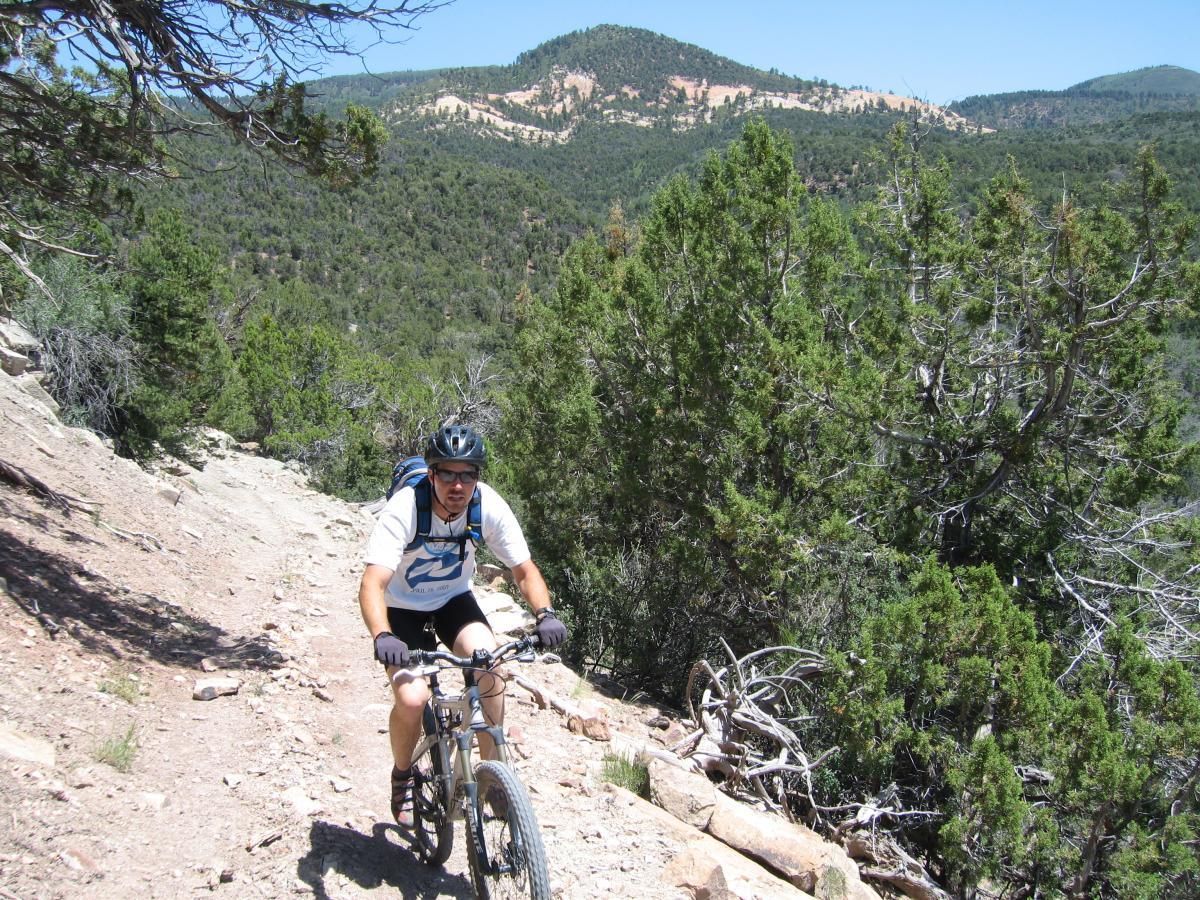 A mountain biker riding up a rocky trail in a forested area, with green trees and mountains in the background under a clear blue sky. The cyclist is wearing a helmet and a backpack, focused on navigating the rugged terrain. Paradox Trail mountain bike trail.