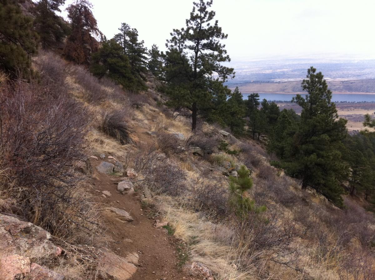 A winding dirt trail surrounded by rocky terrain and sparse vegetation, with scattered pine trees on a hillside. In the background, a distant view of a river and open landscape under a cloudy sky. Lory State Park mountain bike trail.