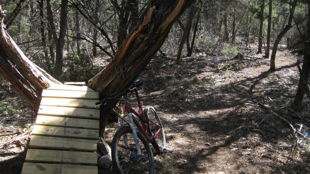A wooden bridge leading over the roots of a large tree, with a mountain bike resting against it. Surrounding the bridge is a dense area of trees and underbrush along a dirt path in a natural setting. Blora mountain bike trail.