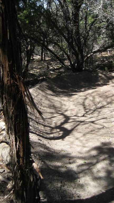 A sandy, slightly elevated path winding through a wooded area, surrounded by trees and underbrush, with dappled sunlight creating shadows on the ground. Blora mountain bike trail.