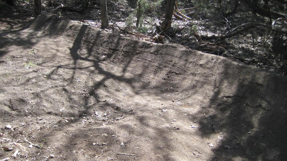 A dirt jump area in a forested setting, with a clear, well-defined ramp and loose soil. Shadows cast by surrounding trees fall across the surface, indicating a sunny day. Scattered leaves and small vegetation can be seen on the ground. Blora mountain bike trail.