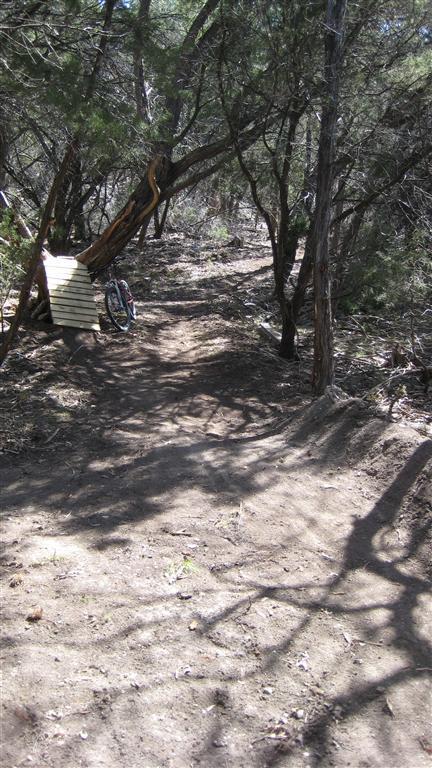 A narrow dirt trail winding through a wooded area, with a wooden ramp constructed on the left side. A bicycle leans against a tree near the ramp, and dappled sunlight casts shadows on the ground from the surrounding trees. Blora mountain bike trail.